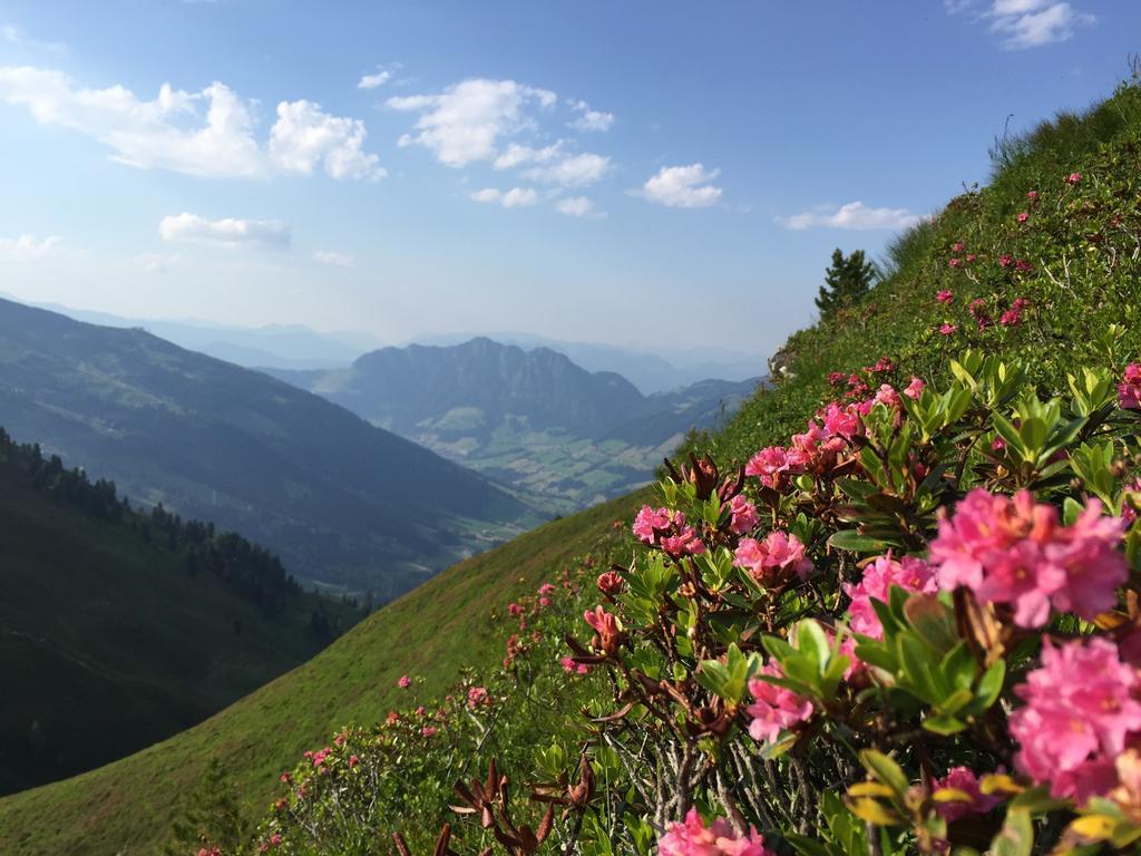 Aparthaus Alpbach Juwel Buitenkant foto