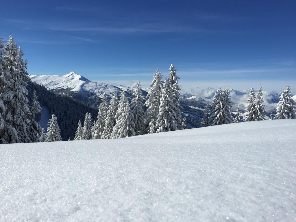 Aparthaus Alpbach Juwel Buitenkant foto