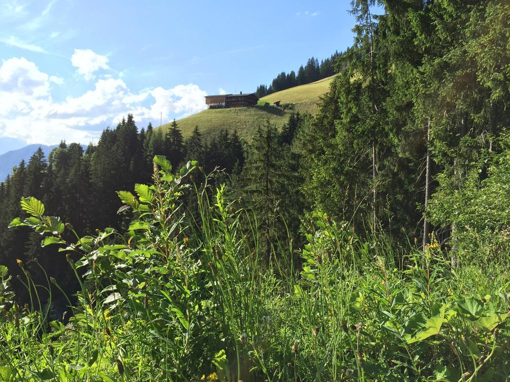 Aparthaus Alpbach Juwel Buitenkant foto